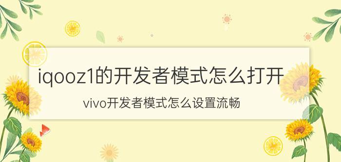 iqooz1的开发者模式怎么打开 vivo开发者模式怎么设置流畅？